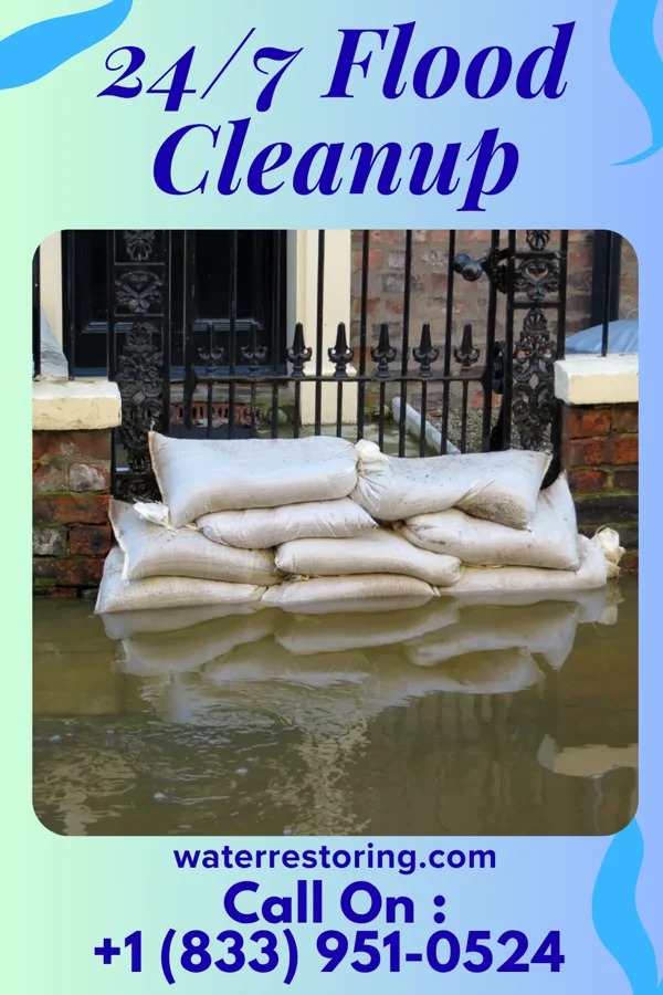 24/7 Flood Cleanup in Wailua Homesteads, HI
