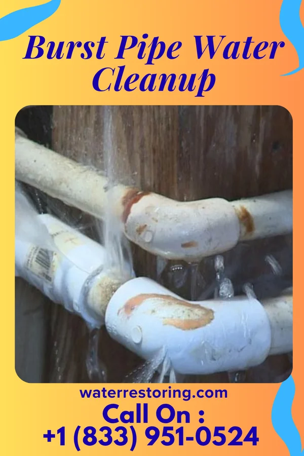 Burst Pipe Water Cleanup in Wailua Homesteads, HI