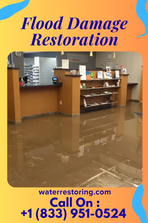 Flood Damage Restoration in Wailua Homesteads, HI
