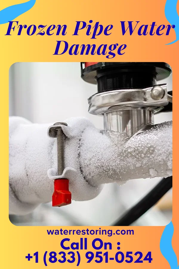 Frozen Pipe Water Damage in Wailua Homesteads, HI