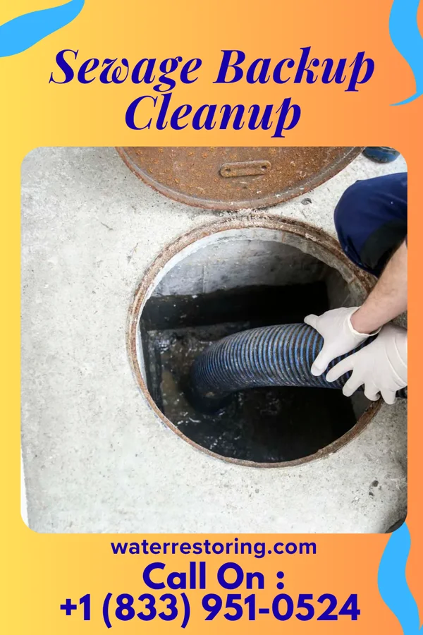 Sewage Backup Cleanup in Wailua Homesteads, HI
