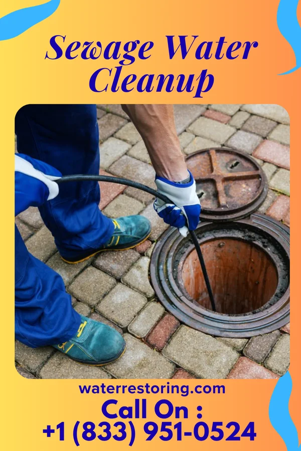 Sewage Water Cleanup in Wailua Homesteads, HI