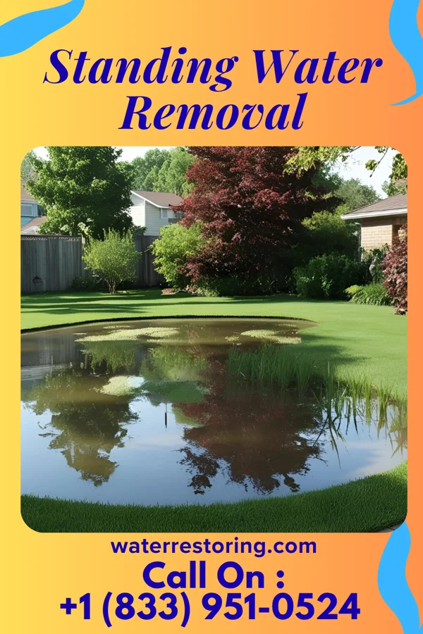 Standing Water Removal in Wailua Homesteads, HI